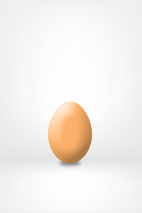 egg